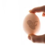 infertility-donor-egg-newsmakersng-722x406